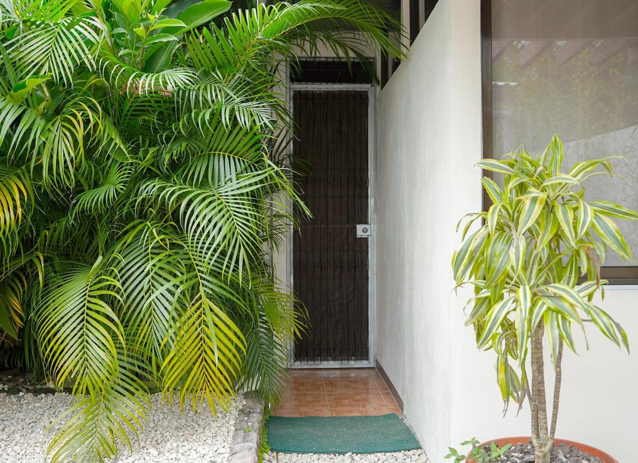 Apartamentos Y Studios Brisas Del Mar Santa Teresa Playa Santa Teresa  Exteriér fotografie