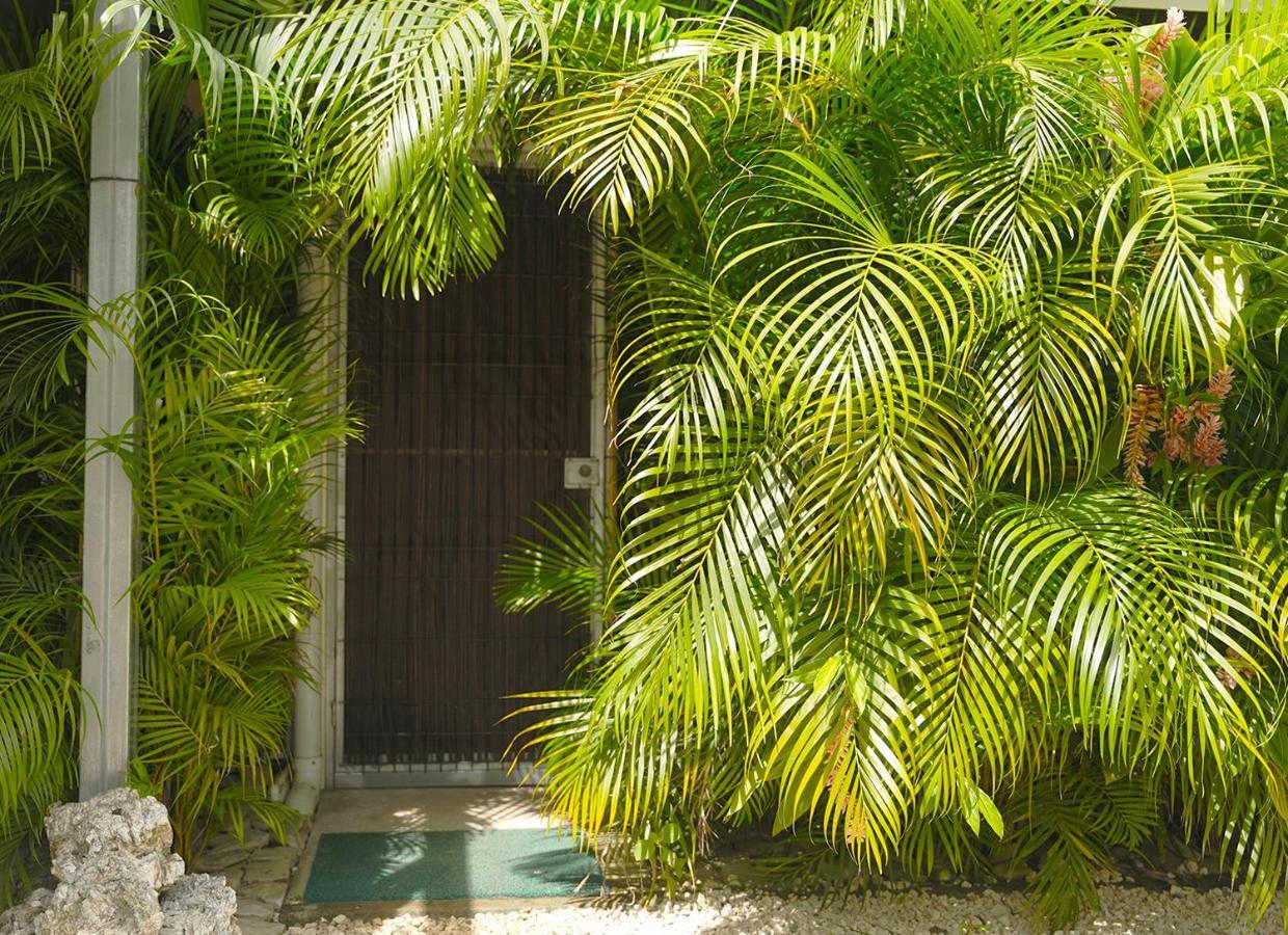 Apartamentos Y Studios Brisas Del Mar Santa Teresa Playa Santa Teresa  Exteriér fotografie